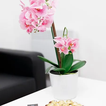 Kirkstall Serviced Лидс