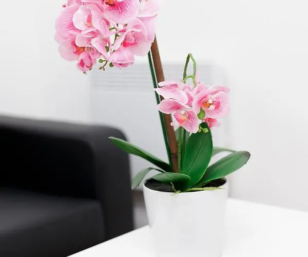 Kirkstall Serviced 利兹